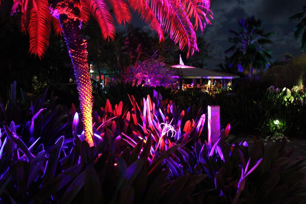 Blue Horizon Boutique Resort (Adults Only) В'єкес Екстер'єр фото