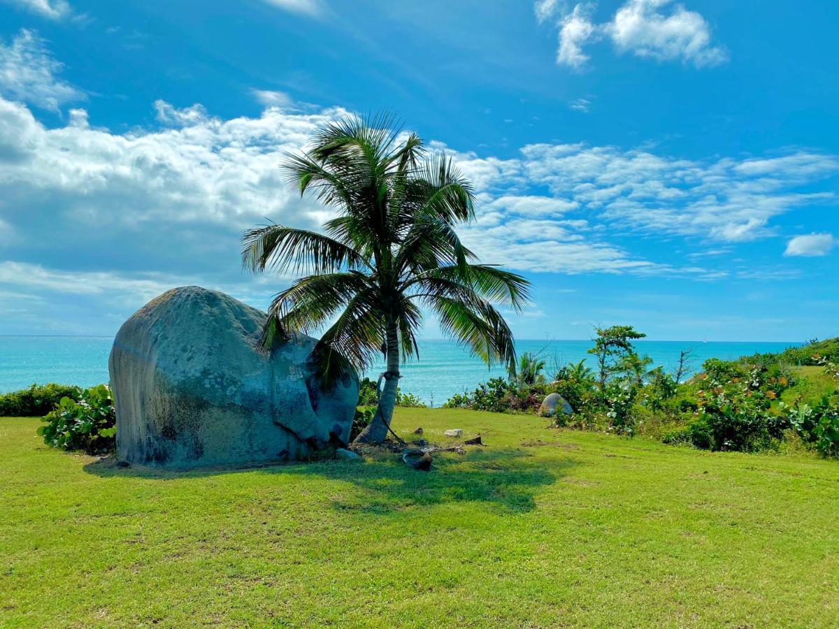 Blue Horizon Boutique Resort (Adults Only) В'єкес Екстер'єр фото