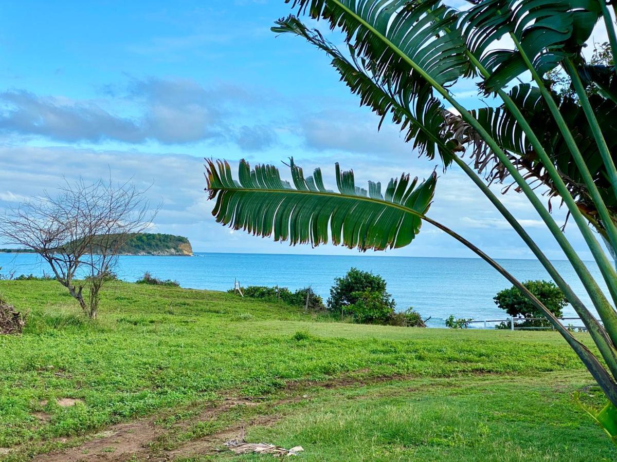 Blue Horizon Boutique Resort (Adults Only) В'єкес Екстер'єр фото