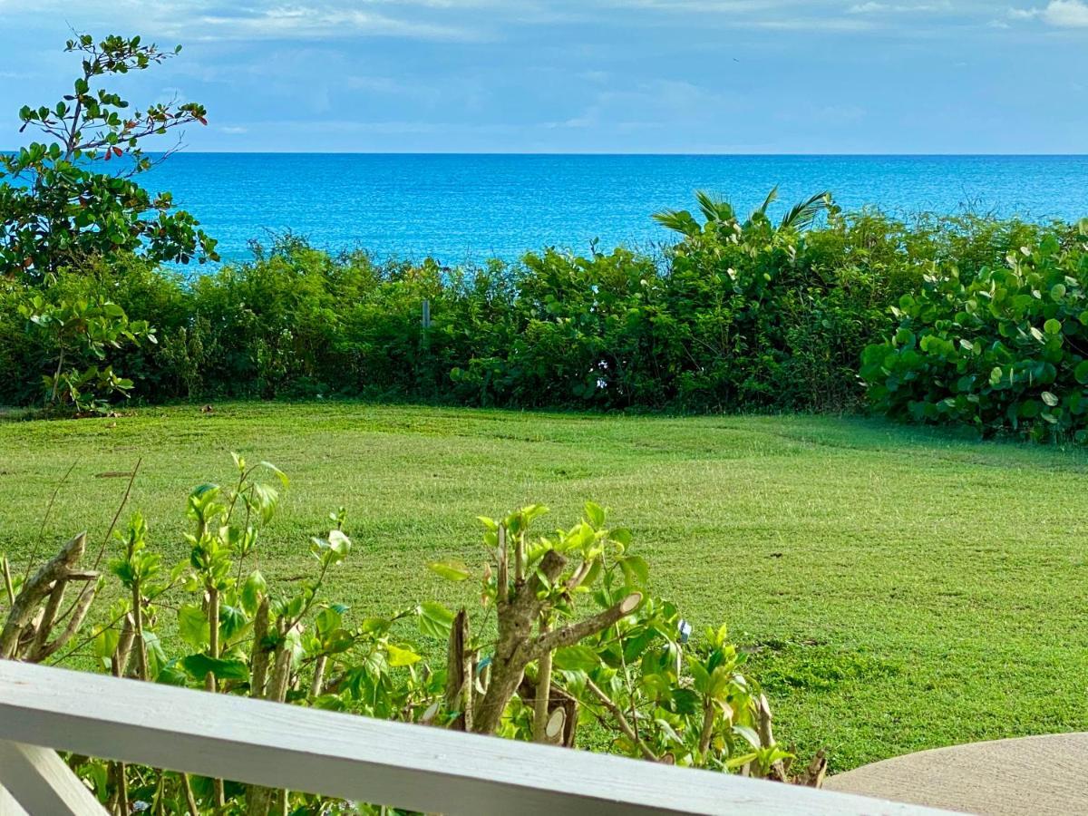 Blue Horizon Boutique Resort (Adults Only) В'єкес Екстер'єр фото