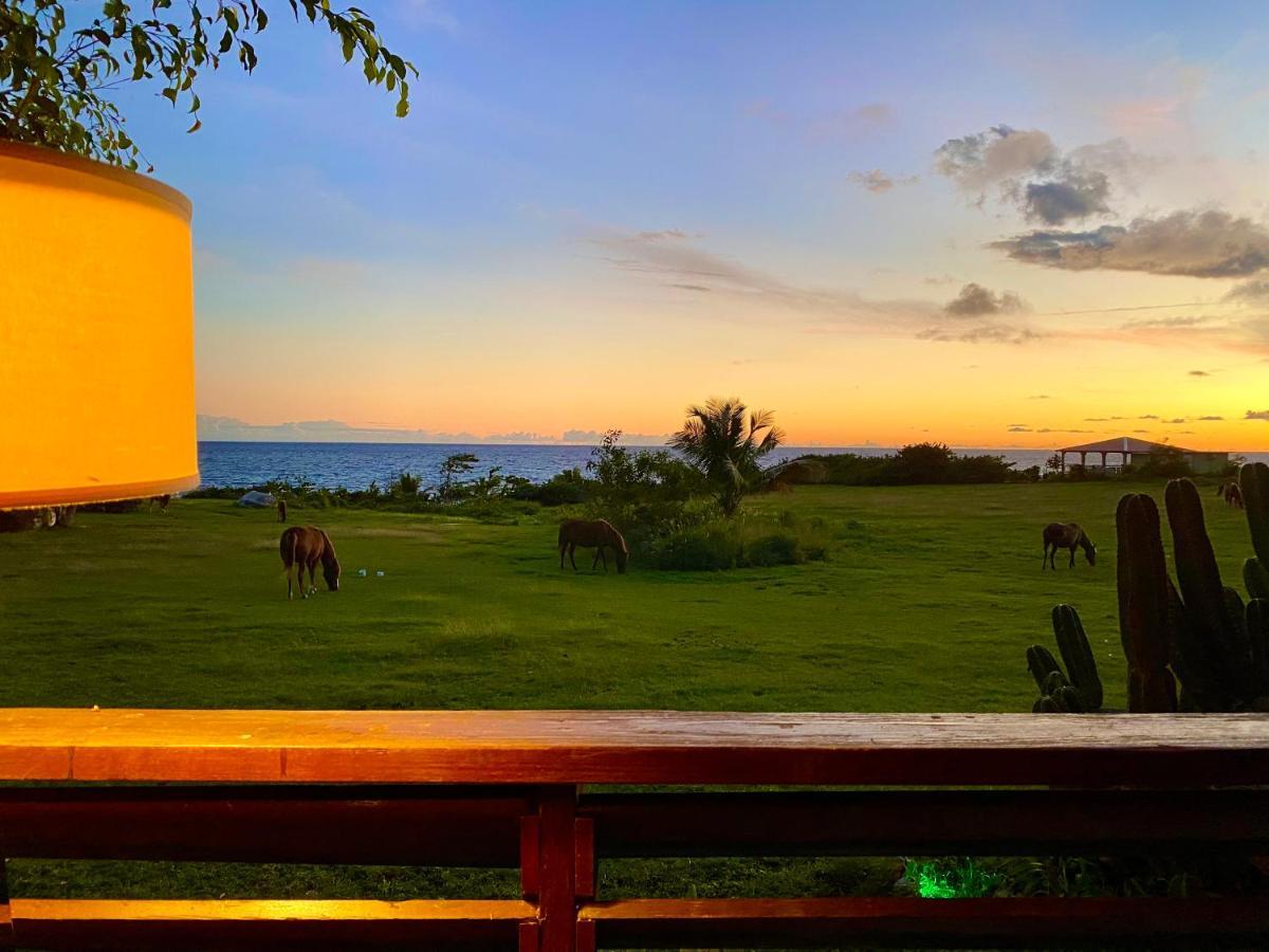 Blue Horizon Boutique Resort (Adults Only) В'єкес Екстер'єр фото