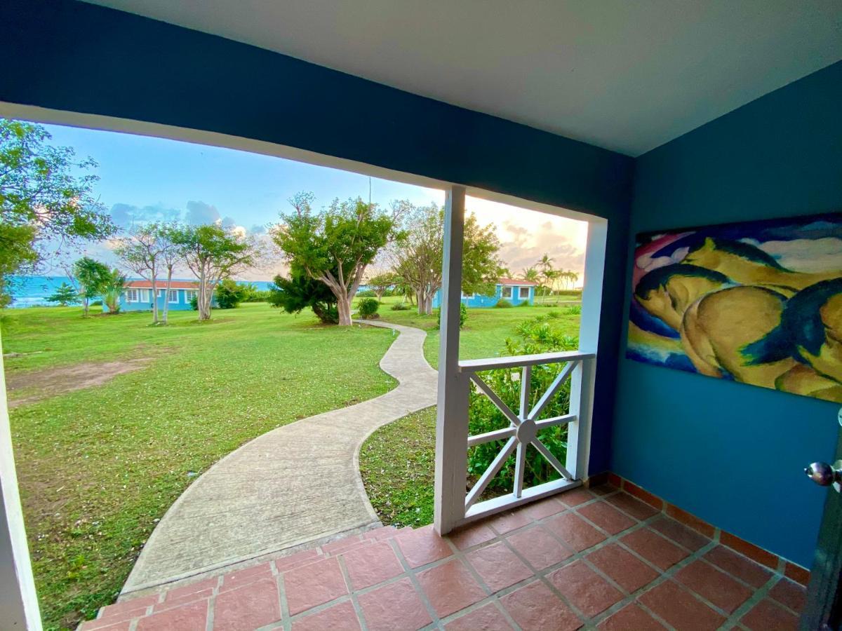 Blue Horizon Boutique Resort (Adults Only) В'єкес Екстер'єр фото
