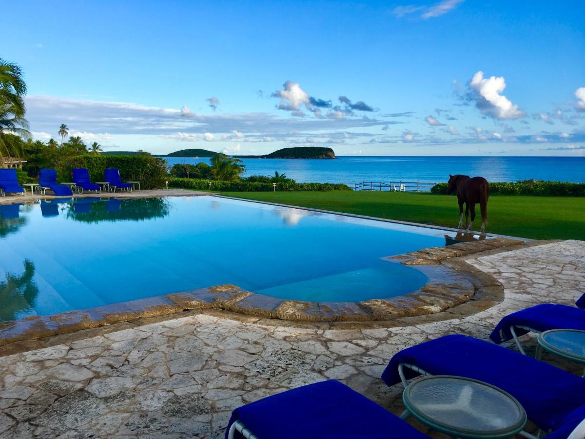 Blue Horizon Boutique Resort (Adults Only) В'єкес Екстер'єр фото